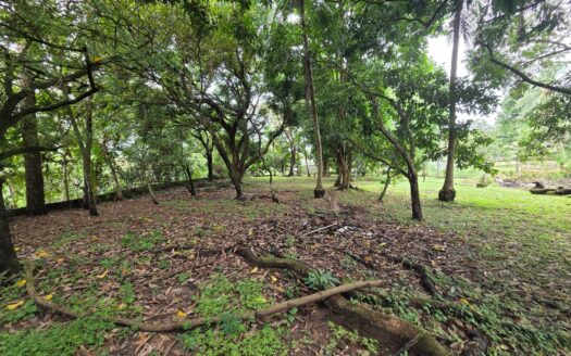 TERRENO EN VENTA EN CHEPO – MLS 23879