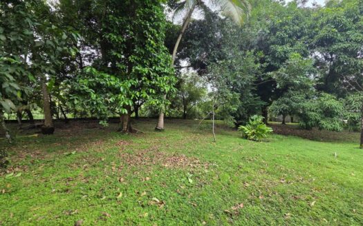 TERRENO EN VENTA EN CHEPO – MLS 23879