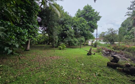 TERRENO EN VENTA EN CHEPO – MLS 23879