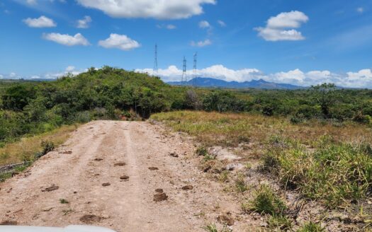 Finca de 24has + 6,806.49 Preciosa Vista – MLS 23872