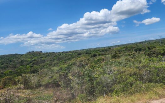 Finca de 24has + 6,806.49 Preciosa Vista – MLS 23872