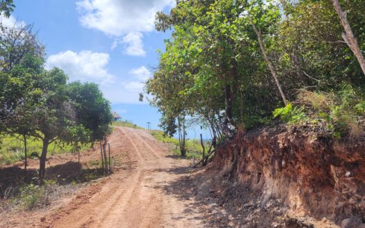 Finca de 24has + 6,806.49 Preciosa Vista – MLS 23872