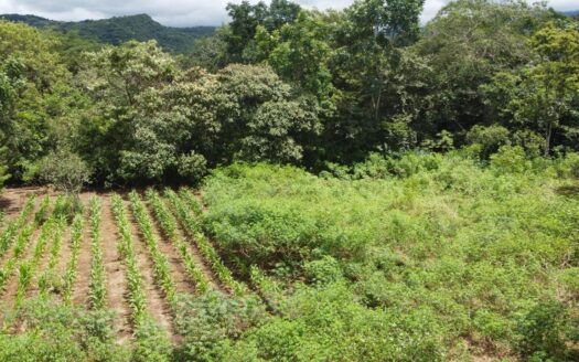 Lote en Venta en Caldera Boquete – MLS 23466