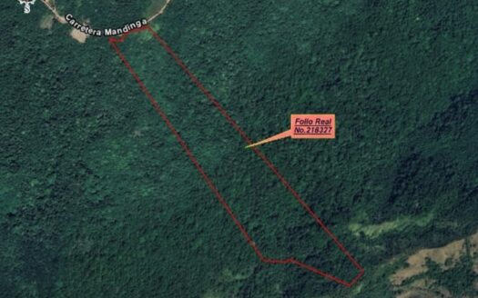 35 Hectareas en Cerro Azul – MLS 23495