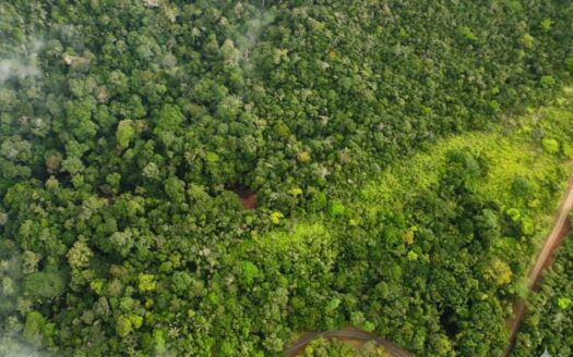 35 Hectareas en Cerro Azul – MLS 23495