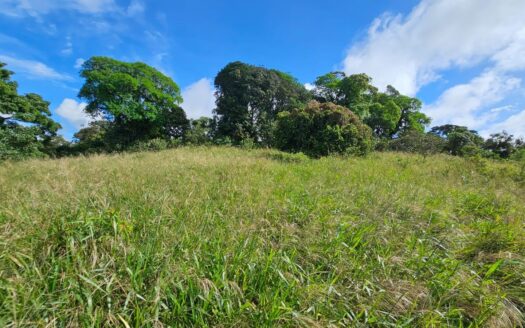 Se Vende Finca Agrícola en Boquerón, Cordillera. Chiriquí – MLS 23497