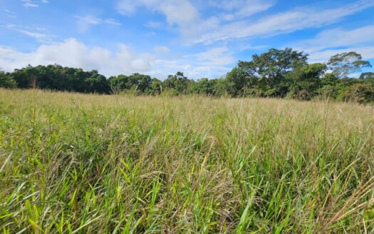 Se Vende Finca Agrícola en Boquerón, Cordillera. Chiriquí – MLS 23497
