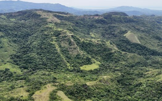 El Jobo — Terreno de desarrollo frente al río – MLS 23442