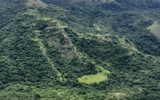 El Jobo — Terreno de desarrollo frente al río – MLS 23442