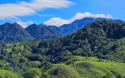 Se Vende Finca Ganadera de 57 Hectáreas en Cordillera Arriba – MLS 23496