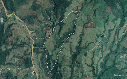 Se Vende Finca Ganadera de 57 Hectáreas en Cordillera Arriba – MLS 23496