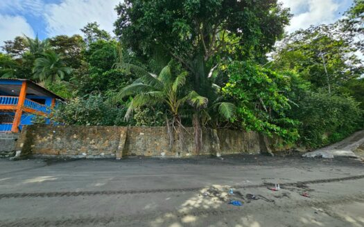 Lote frente a playa en Baru, Limones, Puerto Balsa – MLS 23524