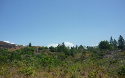 Globo de terreno en montaña con vista al mar – MLS 23539