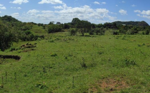 Oportunidad para Inversionistas en Santiago de Veraguas – MLS 23587