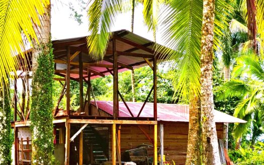 3 Hectáreas frente al mar Caribe en Miramar – MLS 23892