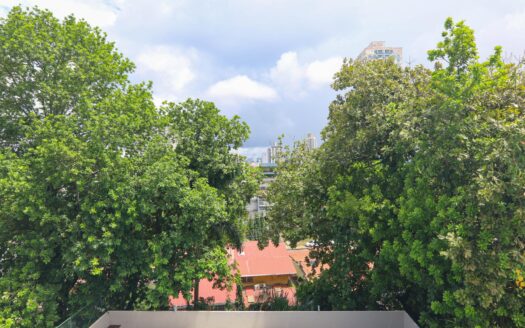 PH Andaluz, En el Corazón de El Cangrejo – MLS 23620