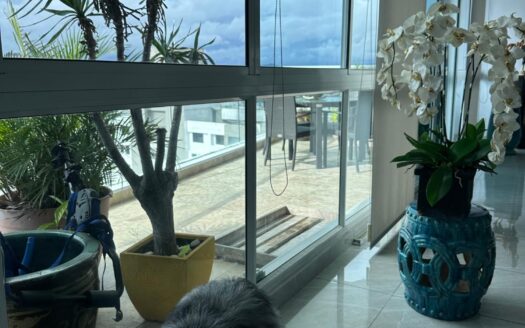 The Forum, El Cangrejo – MLS 23908