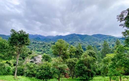 Terreno listo para construir en Alto Quiel Boquete – MLS 23750