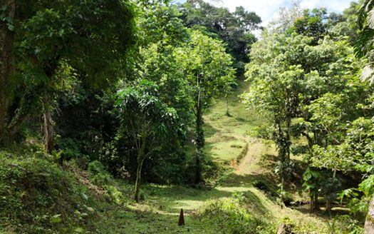 Finca en Coclesito – MLS 23482