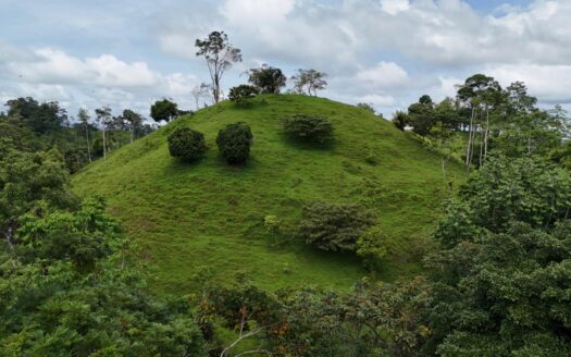 Finca en Coclesito – MLS 23482