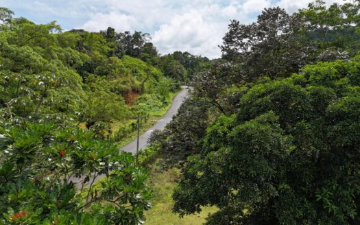 Finca en Coclesito – MLS 23482