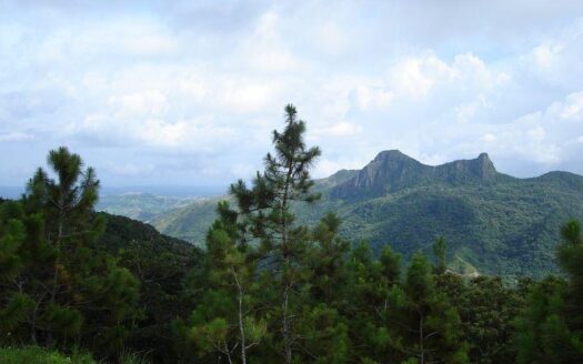 TERRENO EN VENTA EN ALTOS DEL MARIA CON HERMOSA VISTA – MLS 23556