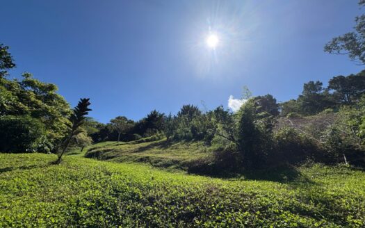 Impresionante vista panorámica del Volcán Barú – MLS 23552