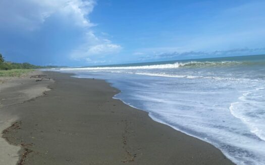 Desarrollo de primera línea de playa en Puerto Armuelles – MLS 23533