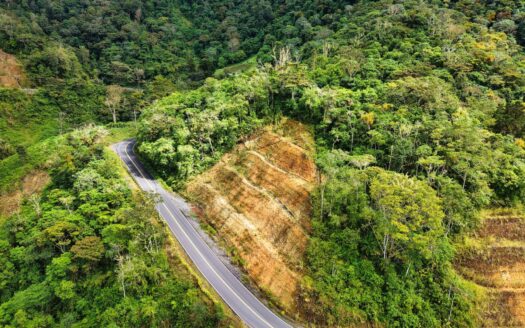 Terreno en Venta Carretera a Río Sereno, Volcán – MLS 23807