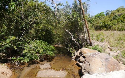 FINCA 7.5 HECTÁREAS, VISTA AL OCEANO – MLS 23742