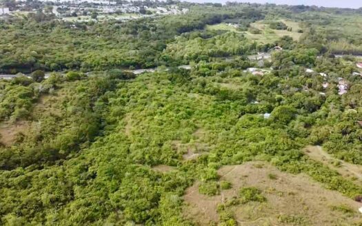 FINCA CERCA DE PLAYA, BIJAO_RIO HATO – MLS 23753