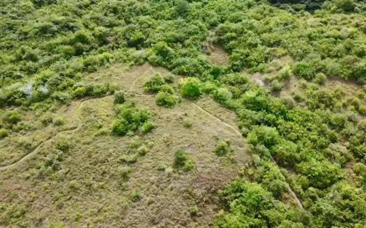 FINCA CERCA DE PLAYA, BIJAO_RIO HATO – MLS 23753