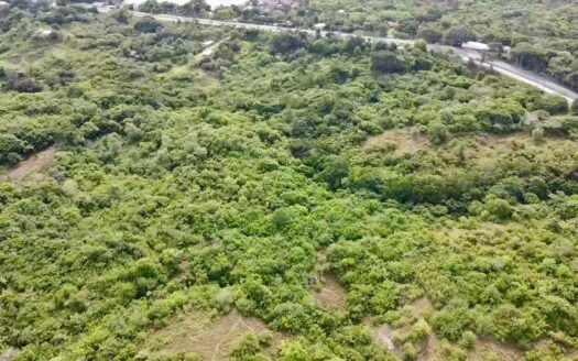 FINCA CERCA DE PLAYA, BIJAO_RIO HATO – MLS 23753