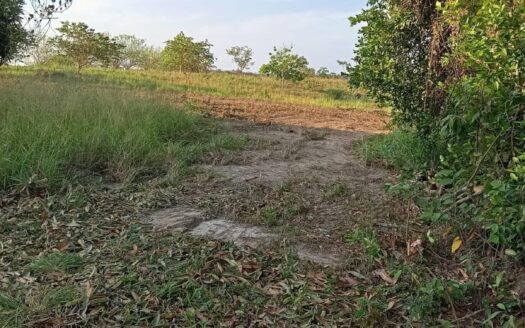 Amplio terreno en El Higo de San Carlos – MLS 23796