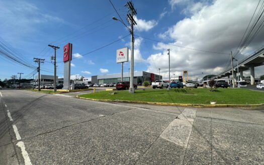 Alquiler de local en Centro Comercial El Faro (Avenida Domingo Diaz) – MLS 23860