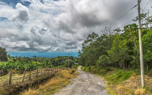 Terreno con vistas al bosque natural y a la montaña – MLS 23816