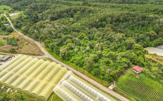 Terreno con vistas al bosque natural y a la montaña – MLS 23816