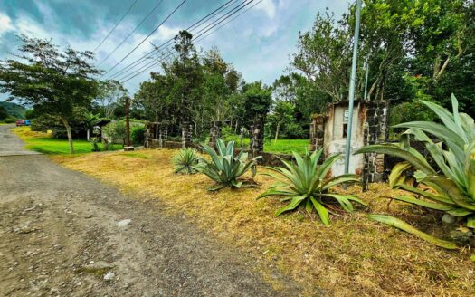 Terreno en Venta en Tierras Altas Nueva California – MLS 23820