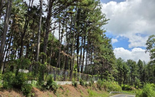 Venta de terreno en Sorá Chame – MLS 23747