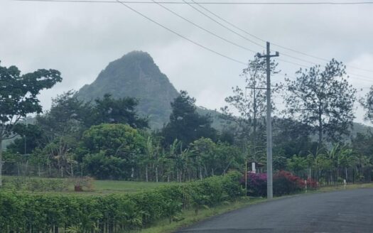 Lotes de montaña de 1,2 hectáreas en Toabre, Penonomé – MLS 23425