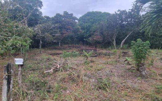 Lotes de montaña de 1,2 hectáreas en Toabre, Penonomé – MLS 23425