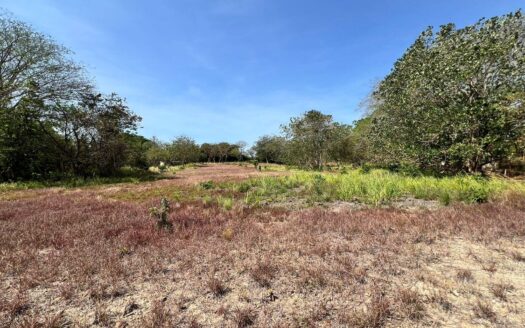 En Venta: Espectacular Terreno en El Nance, San Carlos. – MLS 23404