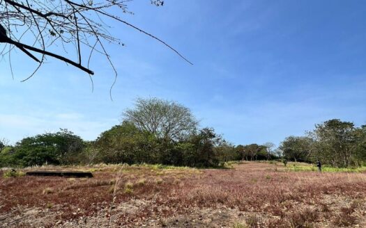 En Venta: Espectacular Terreno en El Nance, San Carlos. – MLS 23404