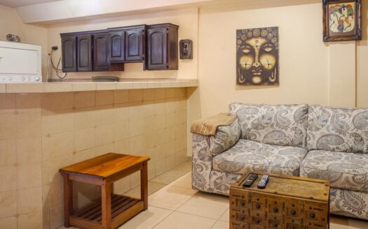 Apartamento Tipo loft en el Centro de Boquete: Una Inversión de Primera – MLS 23963