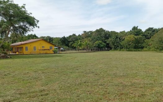 Terrenos en EL ESPINO DE SAN CARLOS – MLS 23898