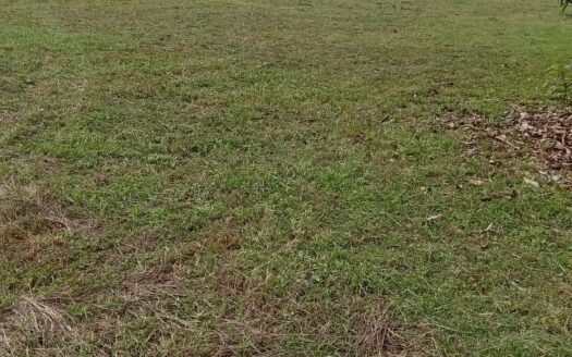 Terrenos en EL ESPINO DE SAN CARLOS – MLS 23898