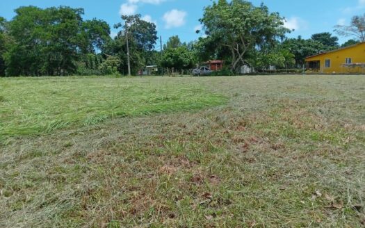 Terrenos en EL ESPINO DE SAN CARLOS – MLS 23898