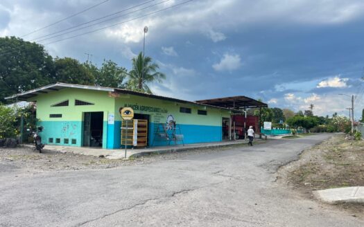 Propiedad comercial en esquina – MLS 23699