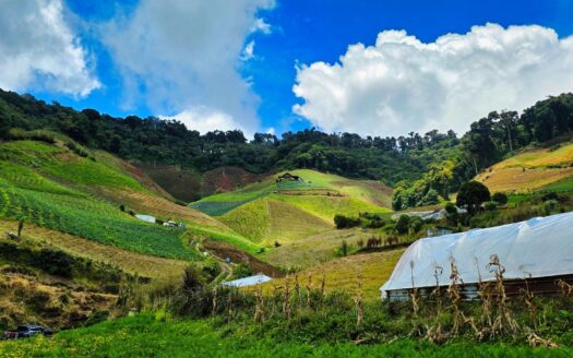 Finca Agrícola en Venta – Cerro Punta, Chiriquí – MLS 23600