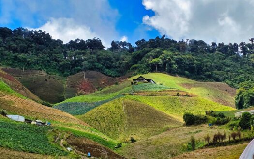 Finca Agrícola en Venta – Cerro Punta, Chiriquí – MLS 23600